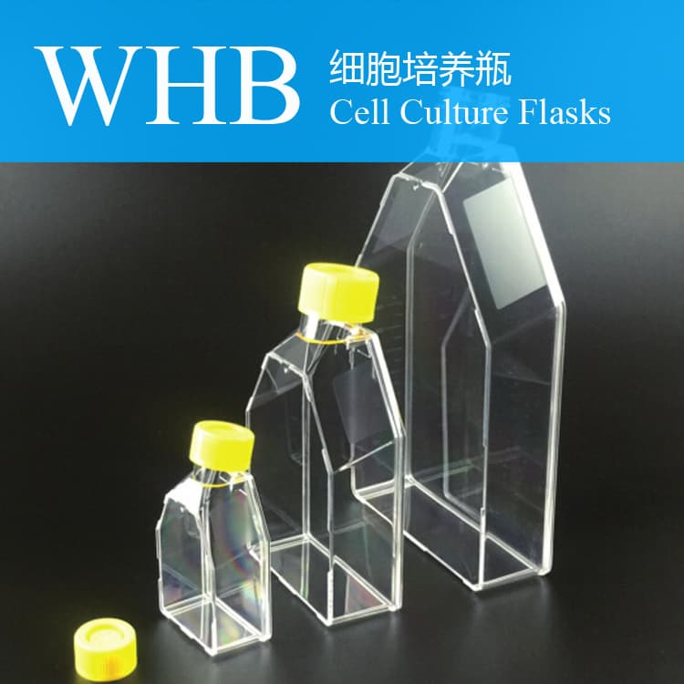 Cell culture flask